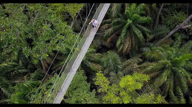 Lekki conservation center