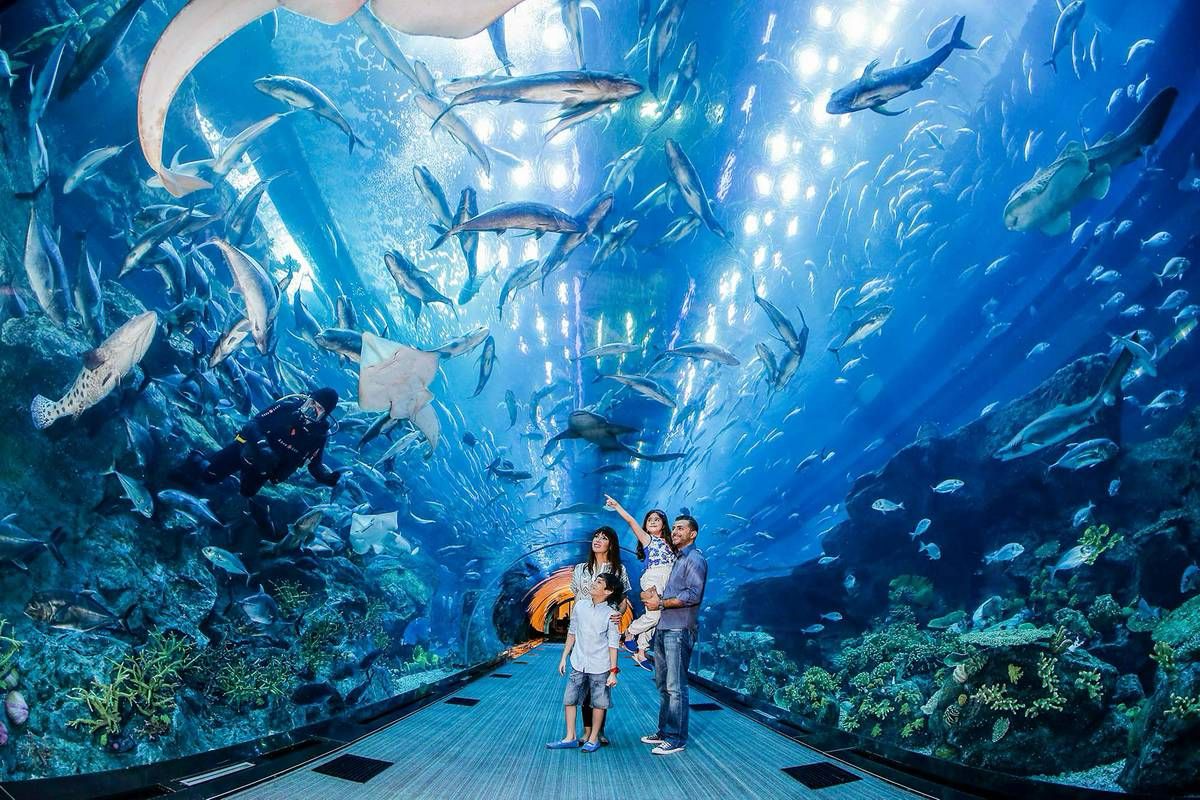 Dubai Underwater Zoo