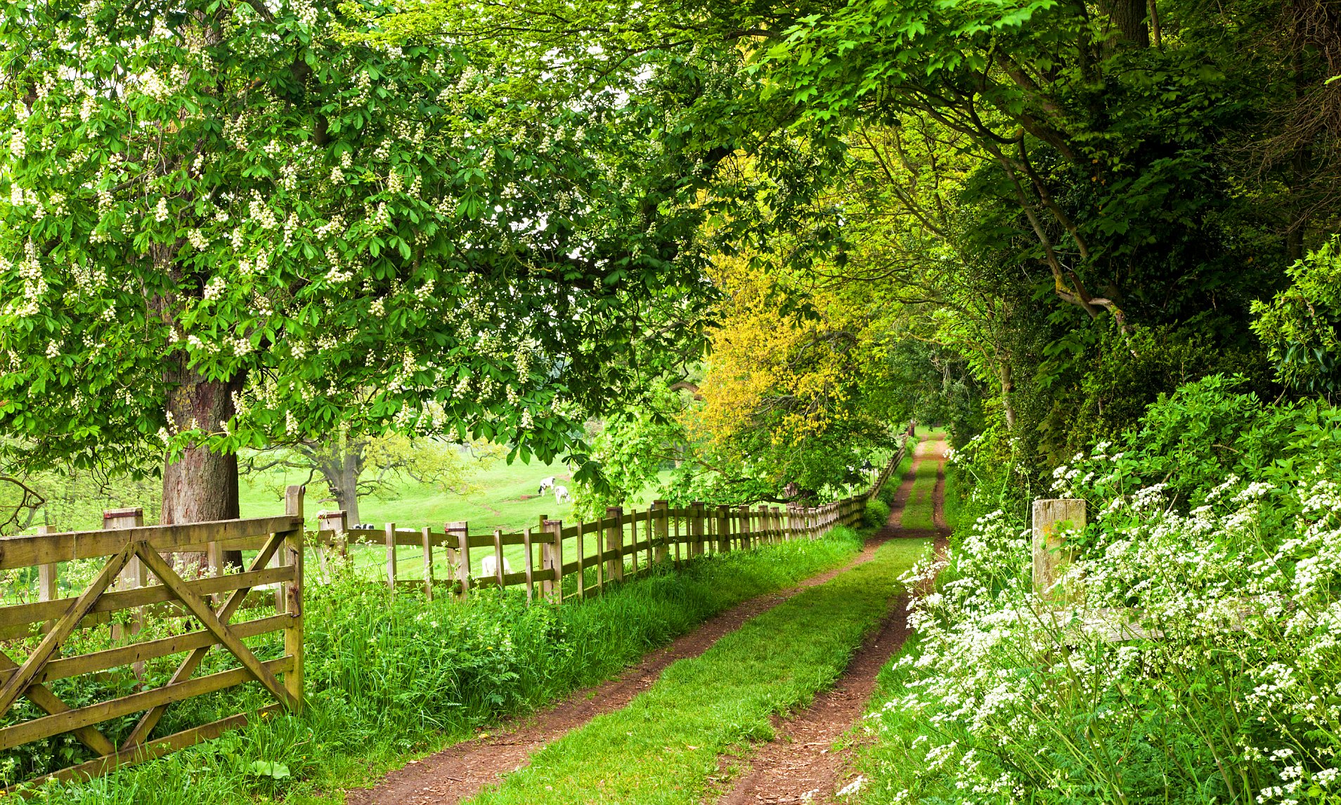 travel english countryside