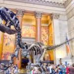 fun museums in new york city
