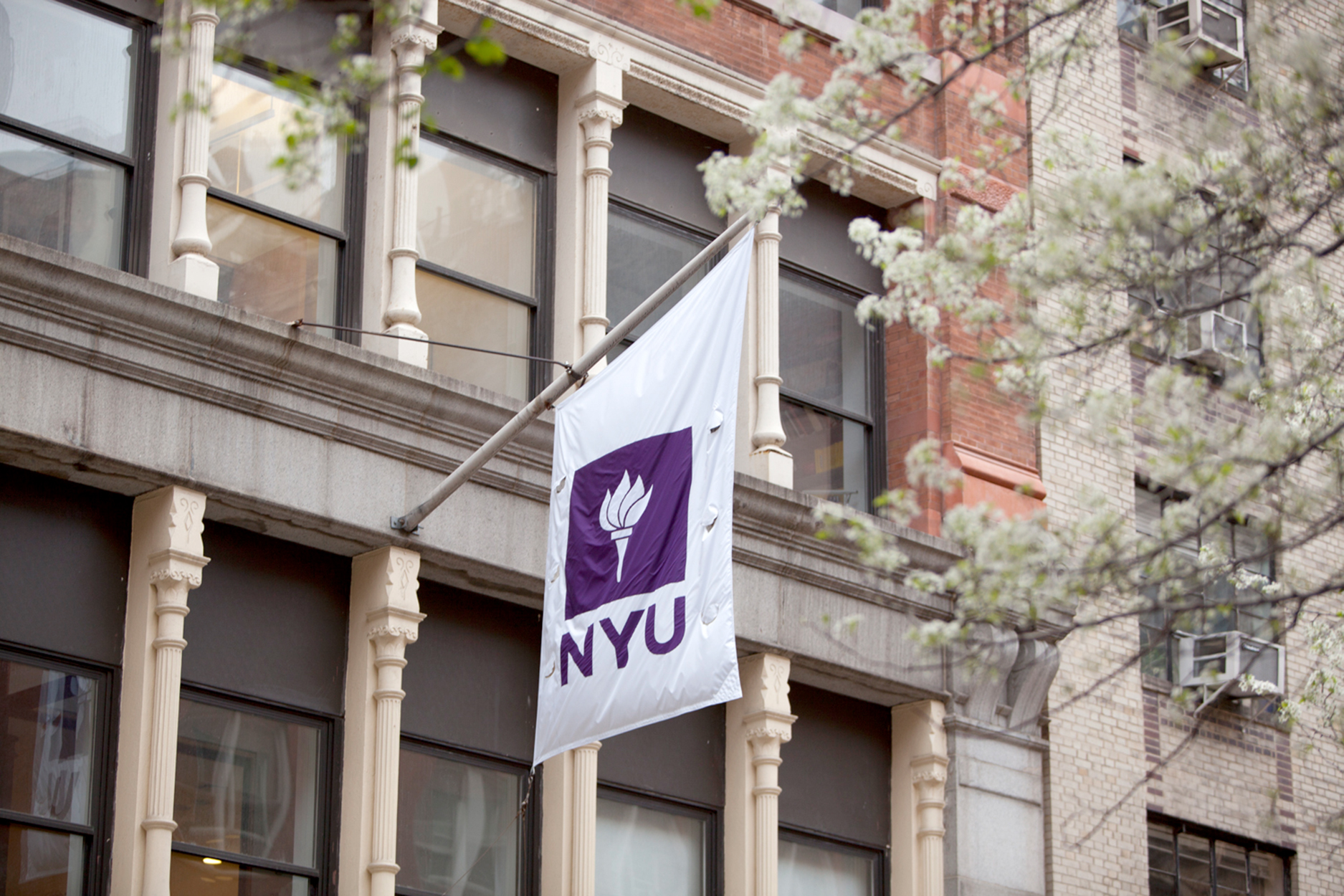 new york university gallatin acceptance rate