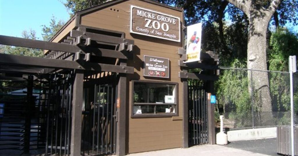 Micke Grove Zoo