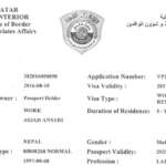 How Much Is Qatar Working Visa